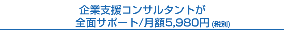 全面サポート/月額3,980円